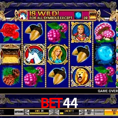 bet44 Rio de Janeiro - Bonus Terms
